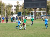 IMG_7282